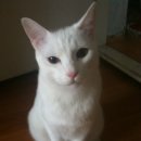 장독골어린이공원 이미지