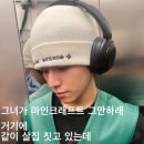 홍홍 이미지