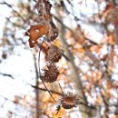 저장 강박 이미지