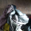 세탁백화점 하이얀마을 이미지