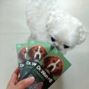 페테리안 | [내돈내산 후기] 강아지 유산균_페테리안 닥터원 넘버에잇 신바이오틱 (Dr. Won #8 Synbiotic)