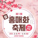 2025 섬 홍매화축제 이미지
