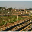 한성농장2 이미지