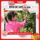 명지리앵두마을 이미지