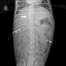 청라호수동물메디컬센터 이미지