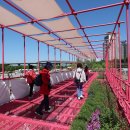 뚝섬한강공원-22 이미지