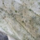 수막 목장 이미지