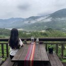 도시고양이생존연구소 이미지