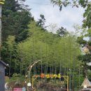 휴가든 | 물놀이부터 캠핑 감성까지 한 번에! 보성녹돈과 힐링이 있는 <휴캠핑가든> 방문 후기