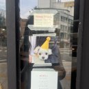 [을지로3가] 귀여운 강아지가 있는 &lt;섹터커피&gt; 내돈내산 후기