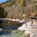 10월22 (수) 내설악 백담사, 영시암,수렴동계곡, 원점회기, 단풍길 함께 걸어요 이미지