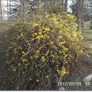 청도의 아침 이미지