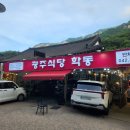 광주식당 | 무계획 당일치기 여행, 동학사 계곡에서 더위 사망ㅋㅋ (광주식당 후기)