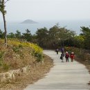 추자대물민박 이미지