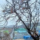 구랑동 이미지