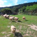 남해-256 이미지