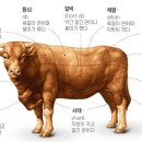 영문축산 이미지