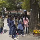 서울사당초등학교 이미지