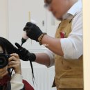 찡구네 붙임머리 이미지