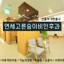 연세고른숨이비인후과의원 | [ 비염수술 전 후 CT 비교 ] 우측 비중격만곡증 수술 후기