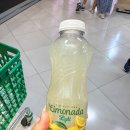 프라도호텔 | 스페인 마드리드 여행 코스 2일차 프라도 미술관 츄러스 맛집