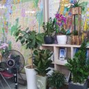 아이파크3차단지내공인중개사사무소 이미지