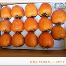 풍천대봉감농원 이미지