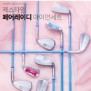 제스타임 포니테일 페어레이디 풀세트 구매 후기 권은비 골프채 제천 골프샵