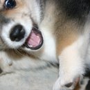 몽글몽글 이미지