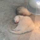 어민농장 이미지