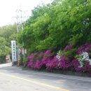 자안사무소 이미지