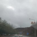 정자한마음약국 | [난임시술 6]난자채취를 하다(한마음병원 난임센터)