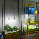 미래산업과학고교 이미지