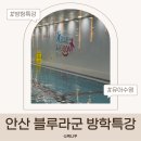 성포배수지체육시설 | 안산 블루라군 어린이 수영장 겨울방학특강｜2026 모집 일정 안내