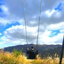 애니 골프 | 강원도 평창 가볼만한곳 용평 애니포레 모노레일 산책코스 추천 후기