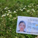 향남보행자H | 운전면허 취득! 1종보통 기능시험 / 1종보통 도로주행 후기와 자세한 팁, 운전면허증 발급