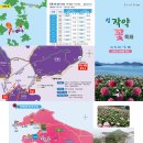 평화대사 5월 1박 2일 문화탐방 이미지