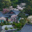 각원사길 이미지