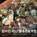 가람프라자 | 별내가람역 맛집 조개찜이 푸짐한 원하던바다 별내별가람역점 후기