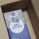 엔루체아