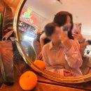 제주도 게스트하우스 기대이하게스트하우스 파티참석O 1차2차 기대이상