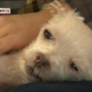미녀공장 이미지