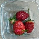 도윤농장 이미지