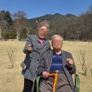 건강 체조A 이미지