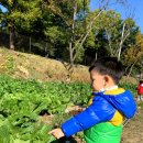 주호농장 이미지