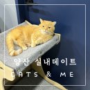 CATS&ME(캣츠 앤 미) 이미지