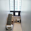 수원고양이호텔 가토캣슬 이미지