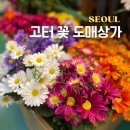 홈패션(Ⅱ) | 고터 꽃시장 영업시간, 주차 정보 성묘 조화 성묘 꽃 작약 구매 후기