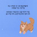 그린기업