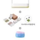 스마트팜플러스 | [리뷰] 사계절 식탁이 싱그러워지는 '가정용 실내 스마트팜' 사용 후기